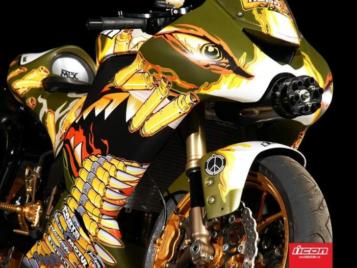 Kawasaki ZX-10R Warthog by Icon